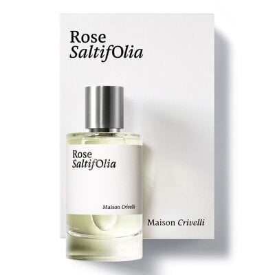 Maison Crivelli - Rose Saltifolia