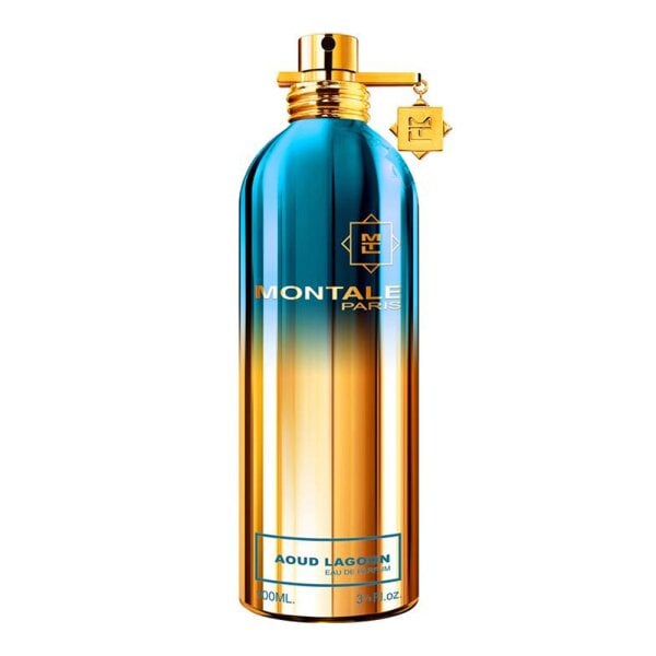 Montale Paris - Aoud Lagoon