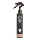 Farmacia SS. Annunziata 1561 - Legnaioli - Room Spray