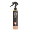 Farmacia SS. Annunziata 1561 - Fornai - Raumspray