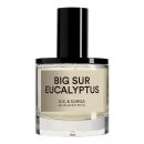 D.S.& Durga - Big Sur Eucalyptus