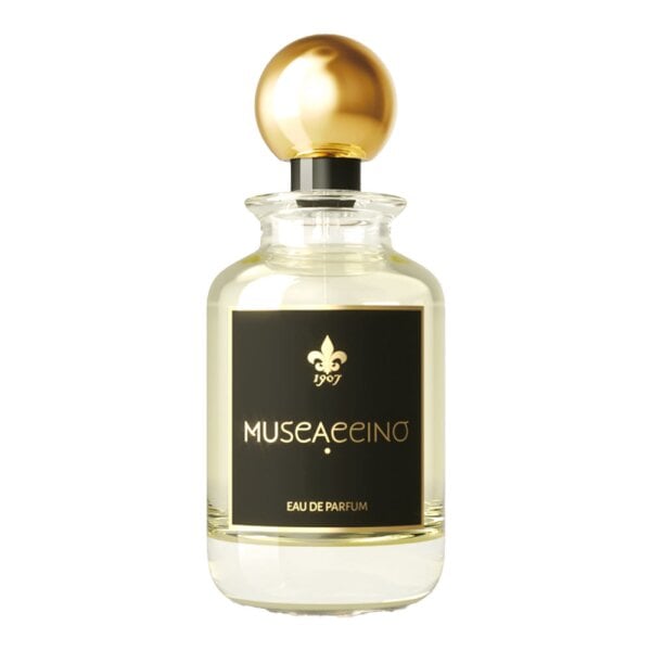 1907 - Fragment Collection - Muscaccino
