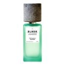 BLNDR GRPHY - 02 Patchouli Mojito