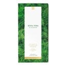 Royal Fern - Phytoactive Illuminating Ampoules