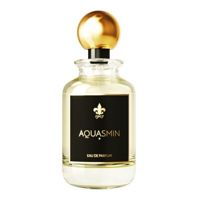 1907 - Fragment Collection - Aquasmin